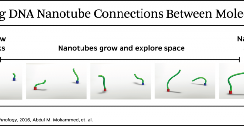  Captured on video: DNA nanotubes build a bridge between two molecular postsIn a microscopic feat th