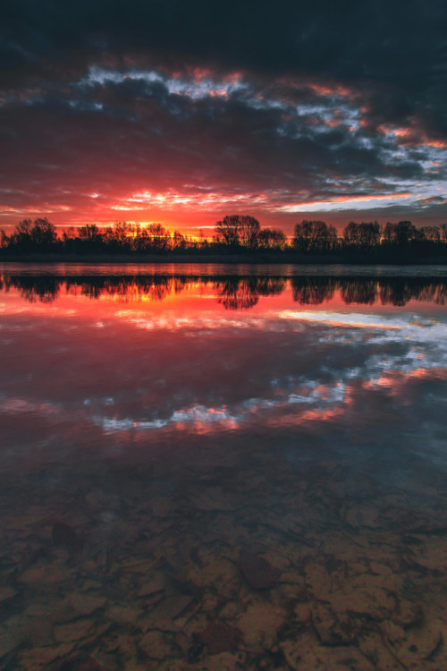 outdoorspastelnature:  Feel Free