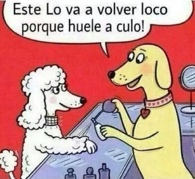 Mehueleelpitoacanela humor negro, chistes y demás