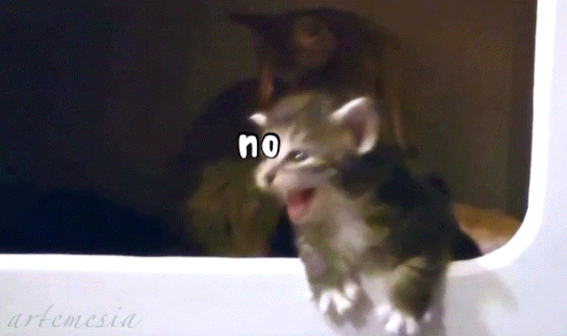 ladyartemesia:▨ today i made tiny chaos kitten gifs ▨▨ tiny chaos kitten is
