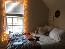 the-cozy-room:☼ coziest blog on tumblr