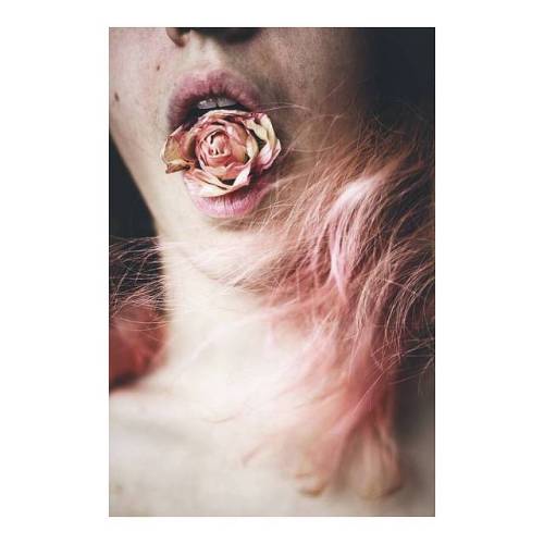 bricktom: Bocca di Rosa  #photoptarmosis #photography #portrait #fineart #art #rose #pink #dyedhair #pinkhair #bocca #mouth #mood #moody #picoftheday 