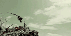 rebellamyblk:    another meme i won’t finish: [3/10] movies -   Pirates Of The