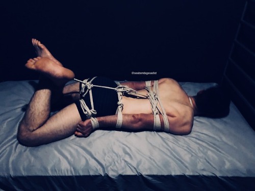 After a wonderful little while of struggling while chair tied a hogtie was in order.  This one loves