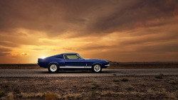 ford-mustang-generation:  ford-mustang-shelby-gt500-15297 by djandyw.com on Flickr.