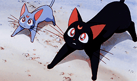 silvercrystal:Characters in Sailor Moon SuperS The Movie: Black Dream Hole↳ Artemis, Luna and Diana.