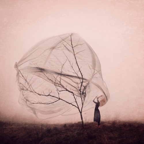 oau:  Kylli Sparre 