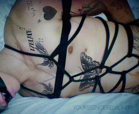 Larry stylinson sexart