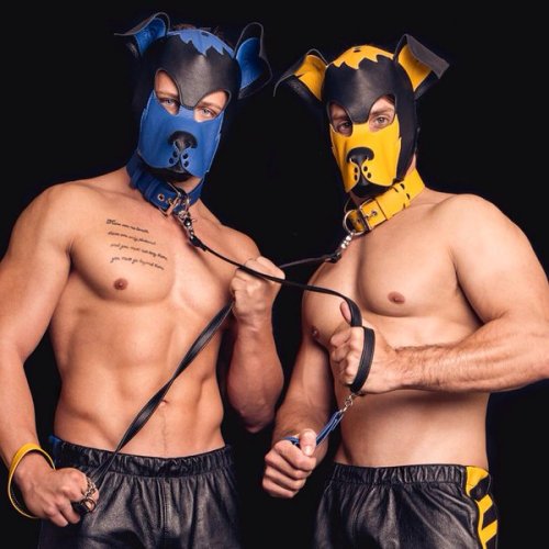 muscular leather dogs collared and leashed porn pictures