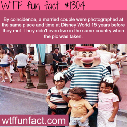 wtf-fun-factss:  disney facts By coincidence, a married couple were photographed at the same place and time at Disney World 15 years before they met. They didn’t even live in the same country when the pic was taken. MORE OF WTF FACTS are coming HERE