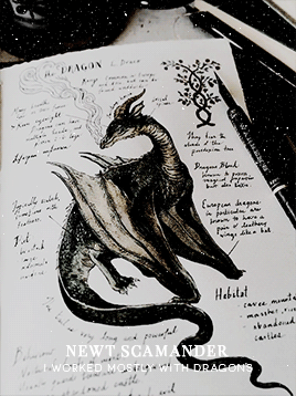 magizoology: Newt: You fought in the war? Jacob: Of course I fought in the war. Everyone fought in t