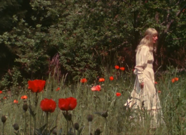 roserosette: Cowboy in Sweden, 1970, Torbjörn Axelman
