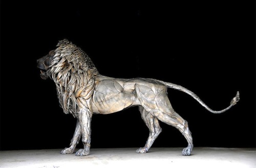 wasbella102:  “Istanbul-based Turkish sculptor Selçuk Yılmaz has constructed a 6-foot-tall, 10-foot-long majestic lion out of nearly 4,000 pieces of scrap metal that is aptly dubbed Aslan (Lion). Taking close to a year to complete the incredible