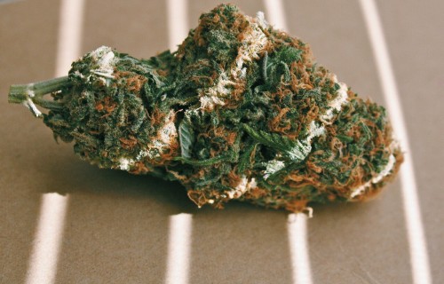 Marijuana & Kitties