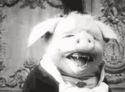 Odditiesoflife:  The Dancing Pig Le Cochon Danseur (“The Dancing Pig”) Is A French