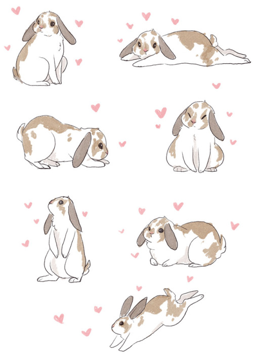 palolabun:more  bun doodles, this time of my sweet chubby boy