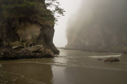 absinthius:  Third Beach, Washinton by Jay