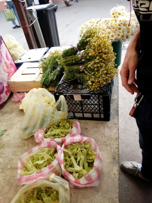 lavender-lunar-witch:Buying some fresh eldelflower & chamomile at the local market in Sibiu, Rom