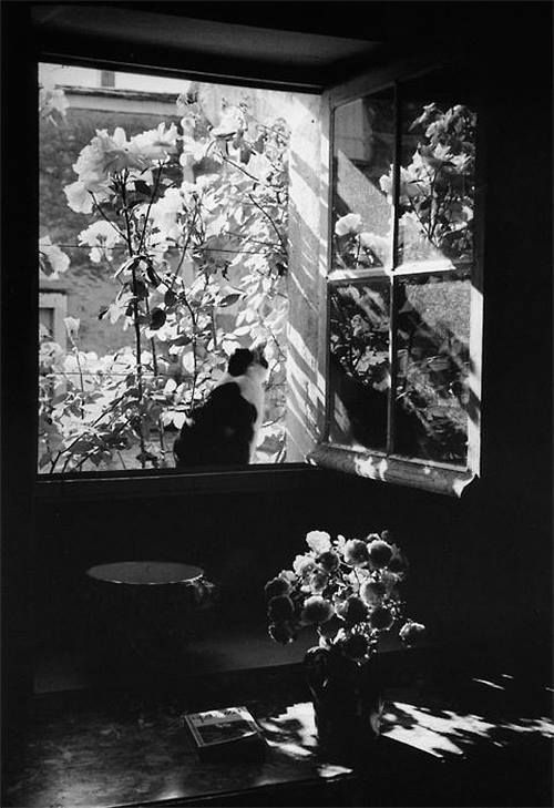 mignonne-allons-voir-si-la-rose:Édouard Boubat, Sans titre, 1972.  France              