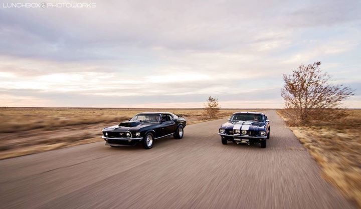 felgenoutlet:  MustangDuelRolling | photo by Lunchbox PhotoWorks http://ift.tt/1ueG4Ky