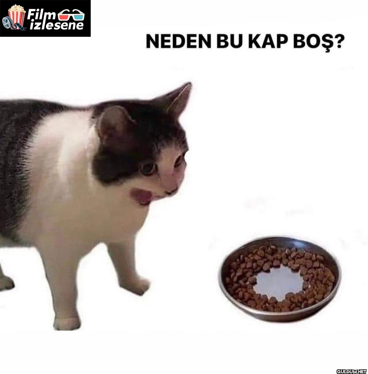 Filmen izlesene NEDEN BU KAP BOŞ?