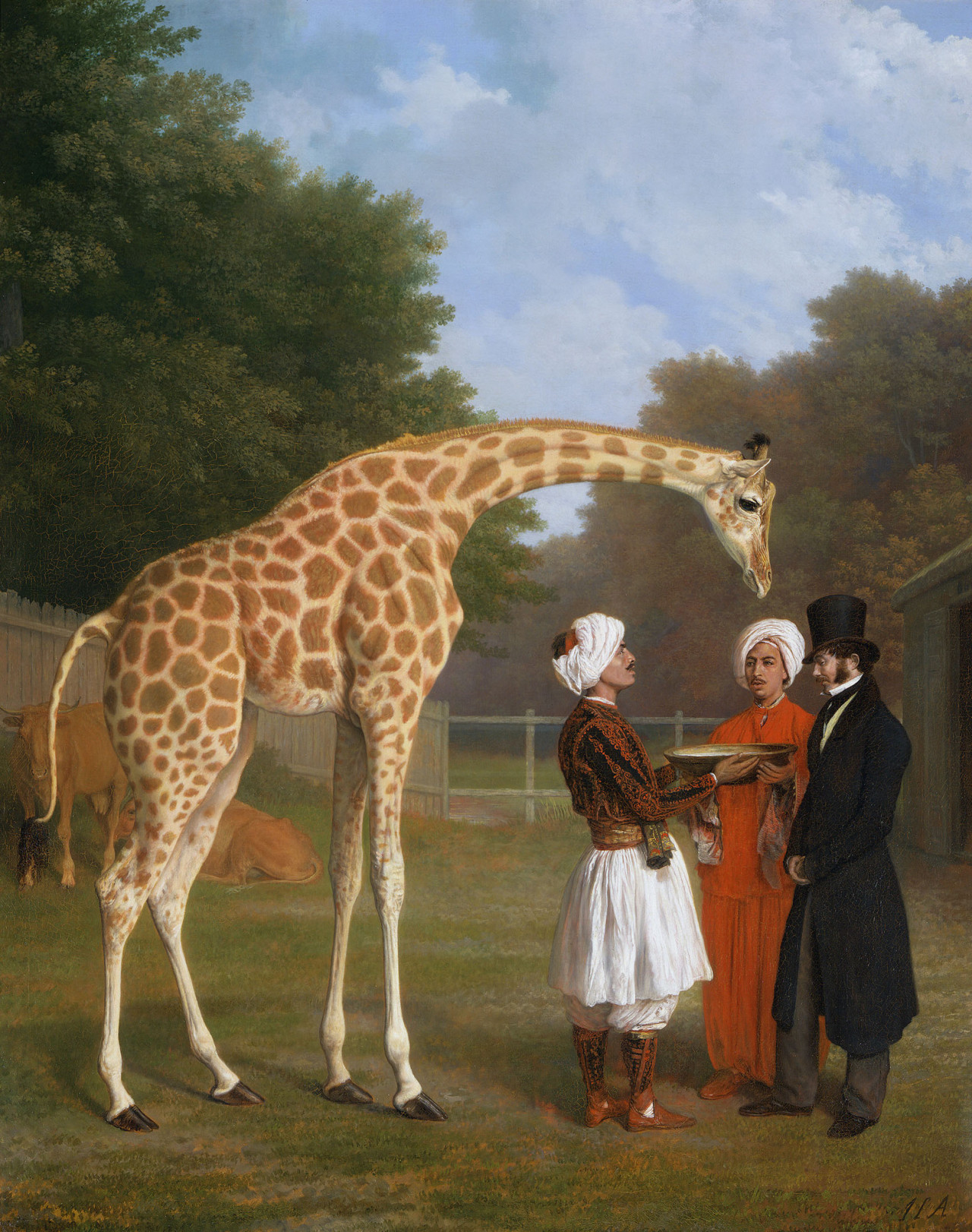 Woman hunter with dead giraffe