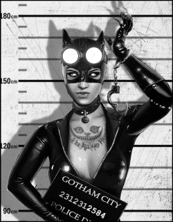 longlivethebat-universe:  Catwoman and Harley