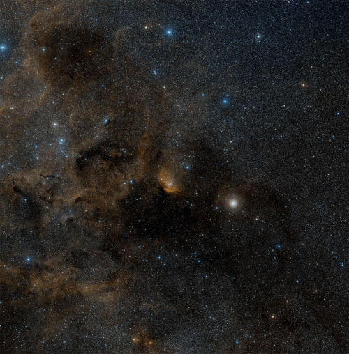 Cygnus X-1 - Sorgente di raggi X, probabile buco nero