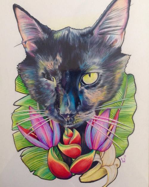 This pic is bananas! B-A-N-A-N-A-S!  Check out this amazing custom drawing of my one eyed cat Monkey