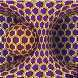 jazzyisheree: silenthilllz:   anxietyproblem: This still image was created by a Japanese neurology professor Yamamoto, and he told the instructions below:If its not moving, or just moving a little, you are healthy and has slept well.If its moving slowly,