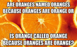 srsfunny:What Came First In The Orange Conundrum?http://srsfunny.tumblr.com/