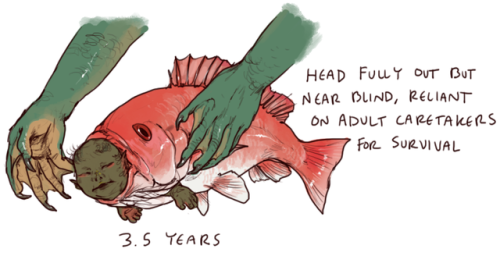 iguanamouth:did you know red snapper can live for over 100 years…. whatre they DOING down there