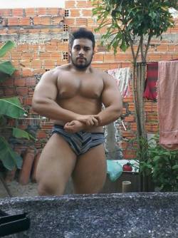 destroyersass: Brazilian Bull Beefy muscle