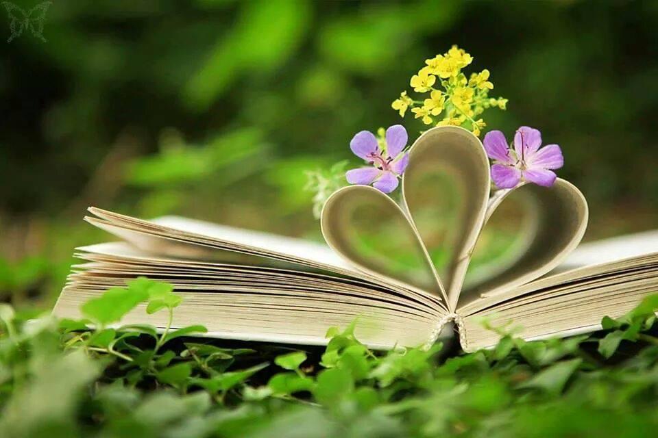 touchn2btouched:  There’s no key to every doors to every hearts If yours ment to
