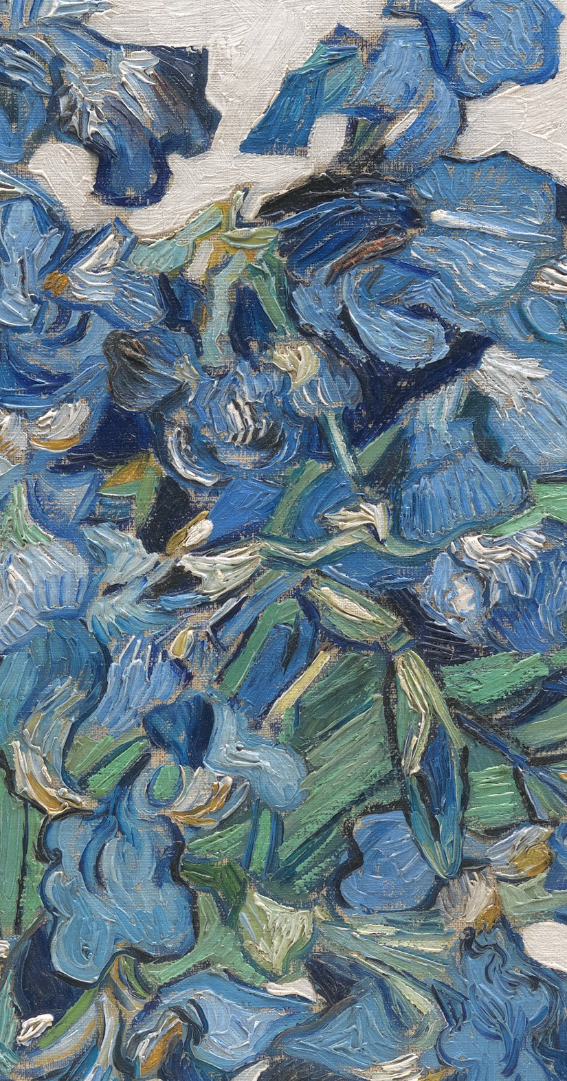 spoutziki-art: Vincent van Gogh - Irises, 1890 (detail) The ...