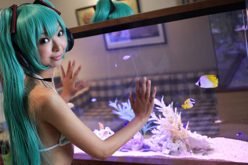 Vocaloid - Miku Hatsune (C77) (NECOSMO Project) [Necoco] 1-2