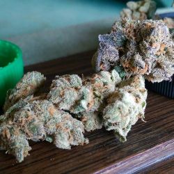 weedporndaily:  #forumcutgsc from @thebakereeseattle by @bretmaverick