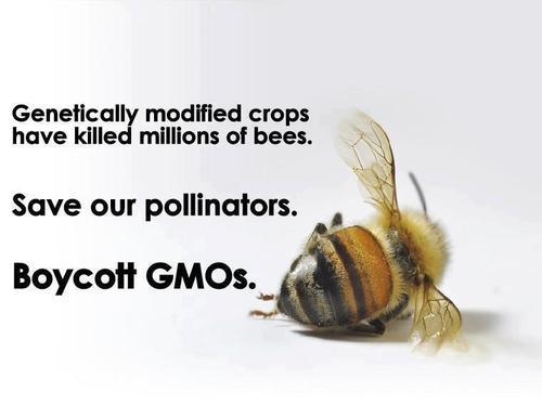 tarassein:antinwo: Occupy MonsantoSAVE THE BEES