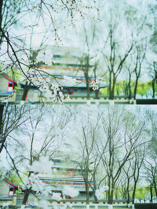 沈阳 龙王庙 Longwang Miao (Dragon King Temple), Shenyang, China (Credits)