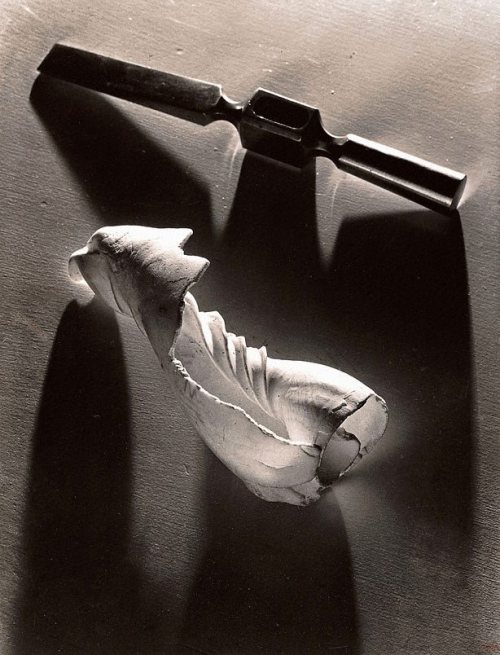 Two forms, 1939 printed 1970s, Max Dupain