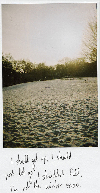 daphnean:  winter snow by Cassandrea- on Flickr. 