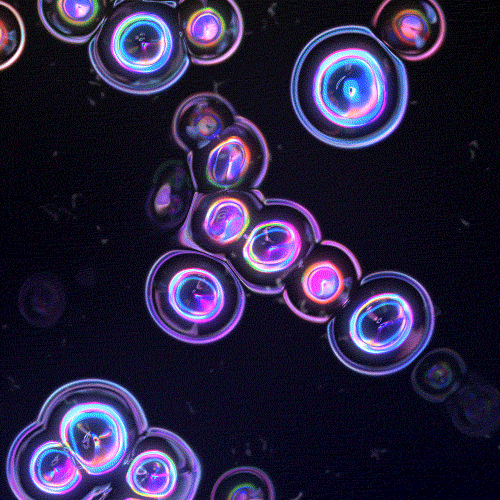 Just some hypnotic stuff