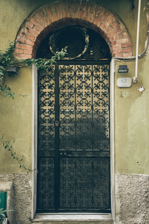 vintagepales2:Doors in ItalybyDmitri Korobtsov