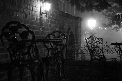 caldert:  Foggy Evening