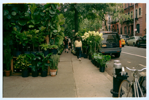 seanklingelhoefer:Veronica blends inFlower District, Manhattan, NY 2018.Nikon 35ti | Kodak Ultramax 