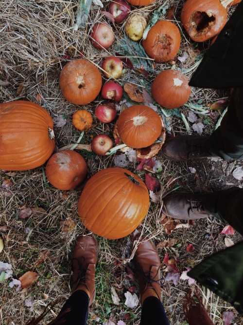 autumns-coziness: christiescloset: Pumpkin graveyard the coziest’ of them all