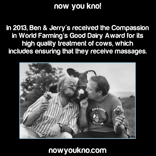 oniduval:  nowyoukno:  Now You Know more about Ben & Jerry’s! (Source)  Good guy Ben and Jerry’s :D 