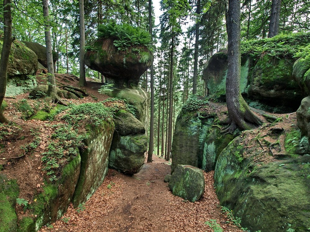 “Głazy Krasnoludków” (Gorzeszowskie Skałki) - The Dwarfs’ Boulders nature reserve in Lower Silesian voivodeship, Poland. Sources of pictures: [1,2,3,4,5]
“ The Gorzeszów Rocks, also known as the Dwarfs’ Boulders, is a fascinating location situated...