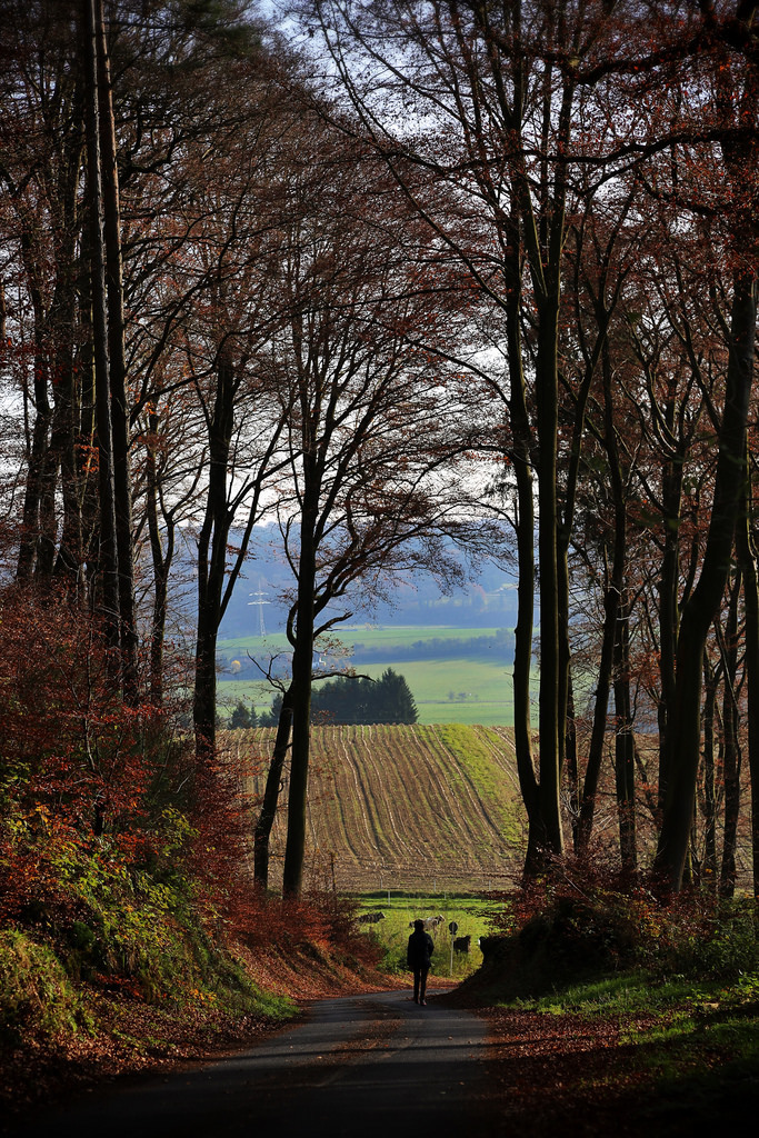 allthingseurope:  France (by eyeofthebeholder5)