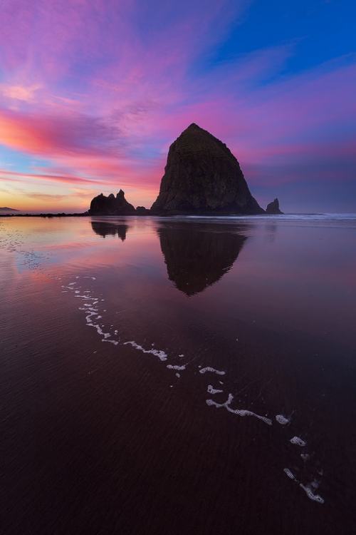 drxgonfly:Foamy Foamy (by Ron Coscorrosa)